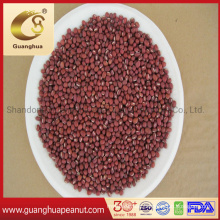 Best Qulaity Red Beans From China